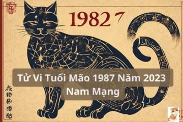 Tử Vi Tuổi Mão 1987 Năm 2023 Nam Mạng